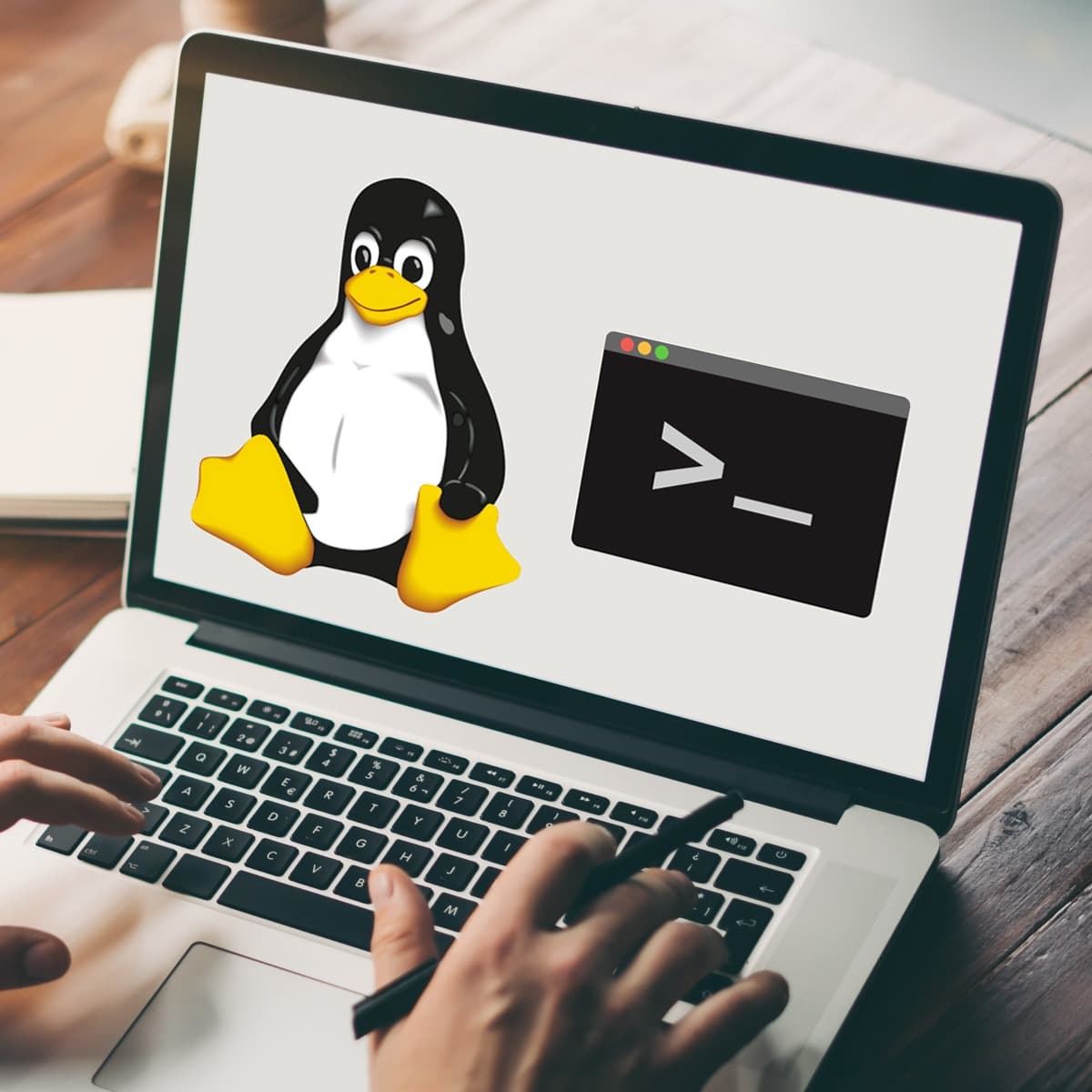 Course artwork for Hands-on Introduction to Linux Commands and Shell Scripting